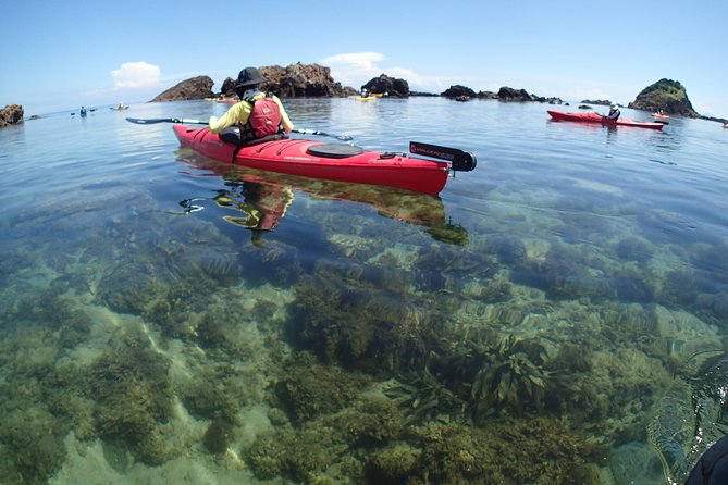 First Seakayak Tour - Pricing and Reviews