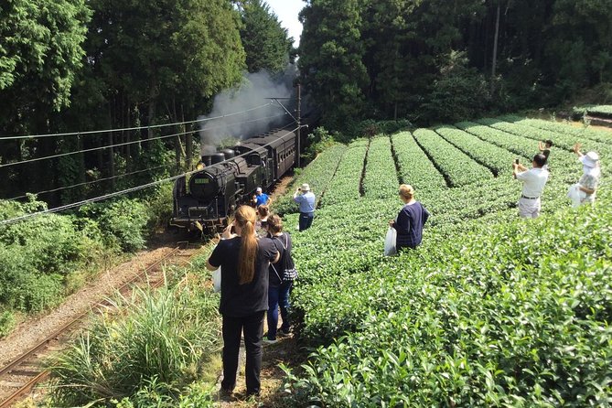 Authentic Japanese Tea Tasting at a Tea Plantation in Shimada - Inclusions and Meeting Point