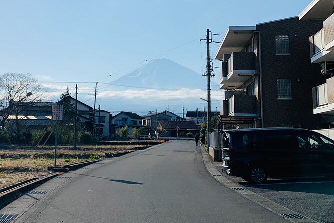 3-Hour Gotemba Food and Nightlife Izakaya Walking Tour - Must-Try Foods