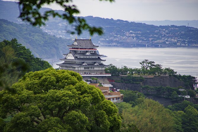 Atami Full-Day Private Tour With Government-Licensed Guide - Pricing