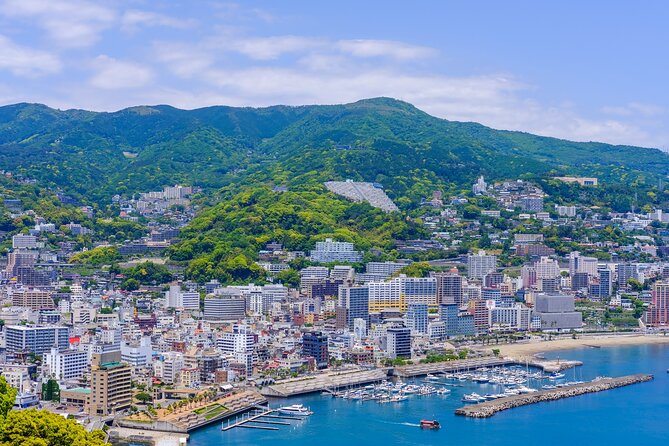 Atami Full-Day Private Tour With Government-Licensed Guide - Additional Services