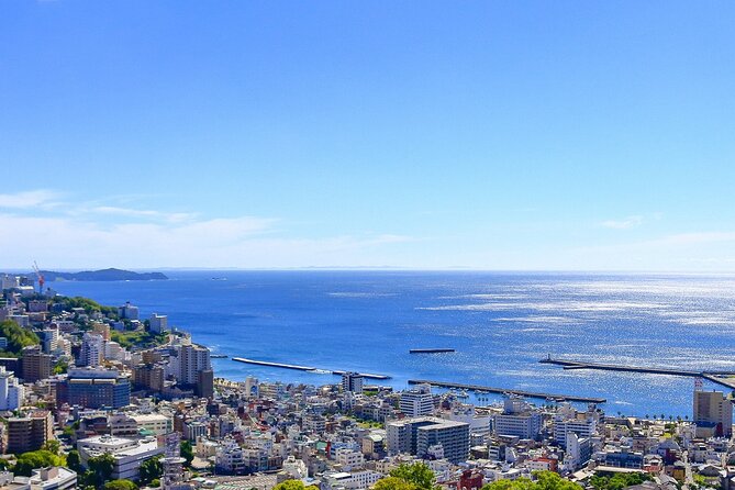 Atami Half-Day Private Tour With Government-Licensed Guide - Inclusions and Exclusions