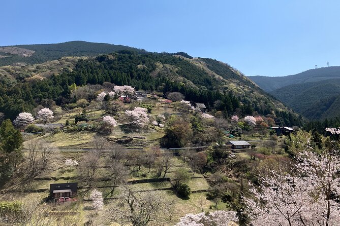 Half Day Countryside Tour in Shinshiro Japan - Key Takeaways