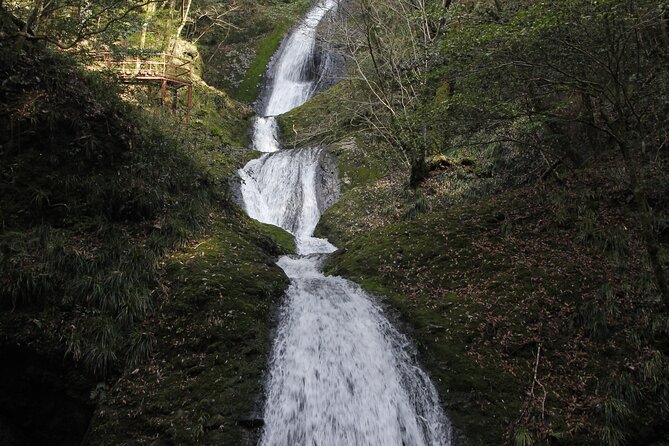 Half Day Countryside Tour in Shinshiro Japan - Cultural Immersion