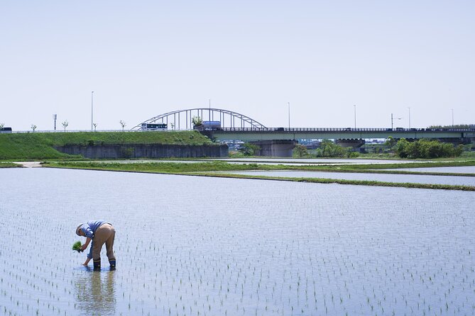 Private Rice Agriculture Experience in Mie - Frequently Asked Questions