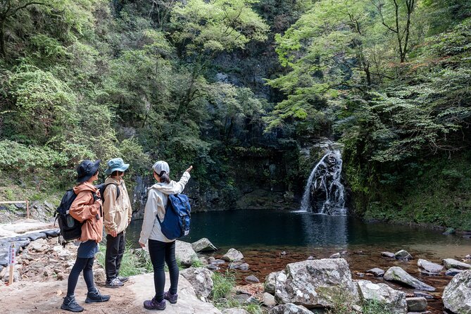 Private Tour of Akame 48 Waterfalls With Bento Making - What To Expect