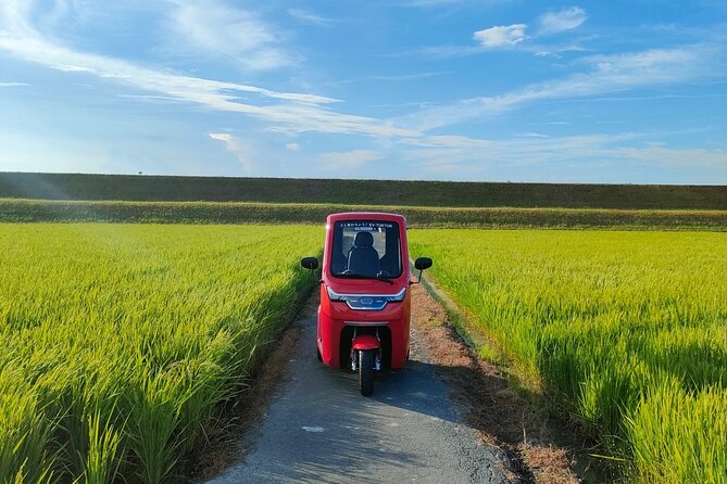 Private Guided Tour With a Rental Electric Bike or Tuktuk in Ise - Confirmation and Accessibility