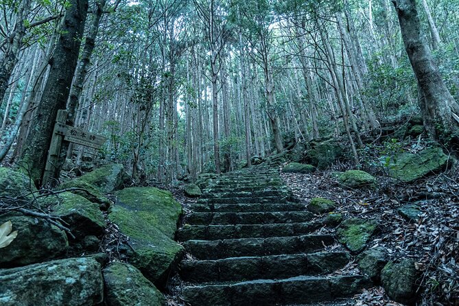 6 Day Private Ise and Kumano Tour - Accommodation Details