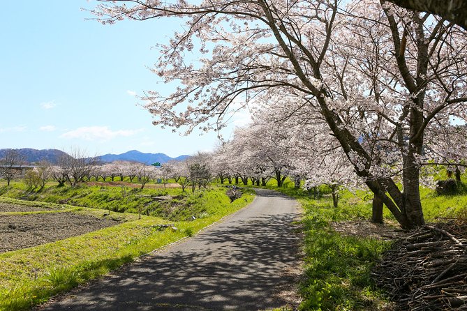 Japans Rural Life & Nature: Private Half Day Cycling Near Kyoto - Directions