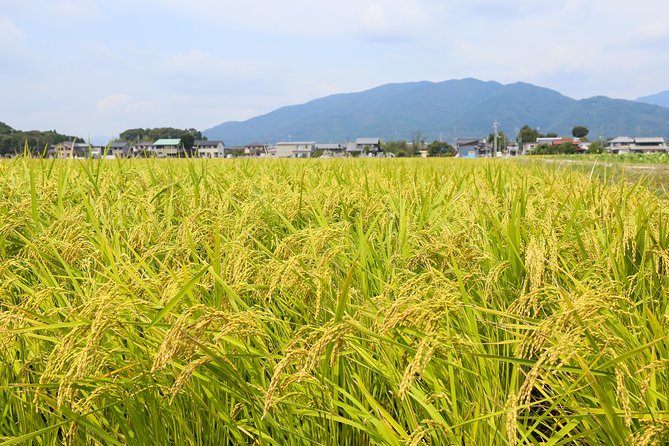 Japans Rural Life & Nature: Private Half Day Cycling Near Kyoto - Frequently Asked Questions