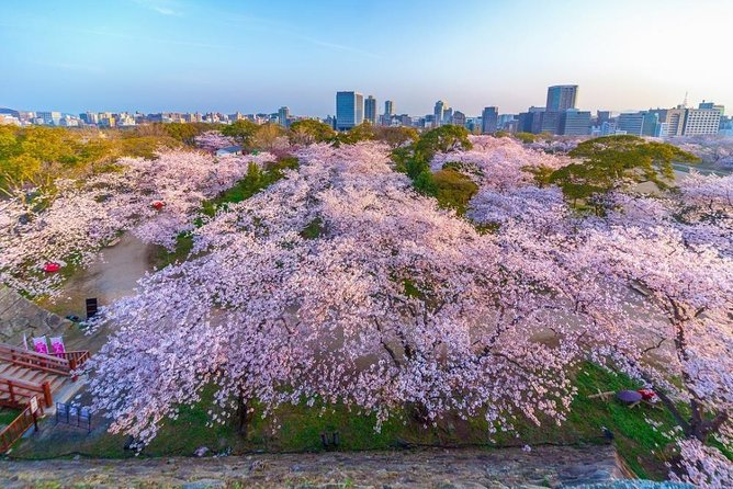 Maizuru Half-Day Private Tour With Government-Licensed Guide - Price