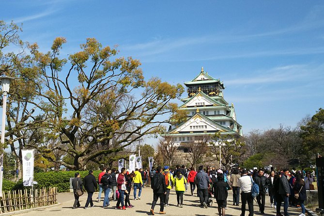 Osaka Castle & Dotonbori Lively One Day Tour - Physical Requirements