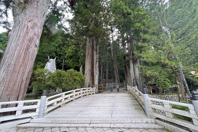 Full-Day Private Guided Tour to Mount Koya - Price & Booking