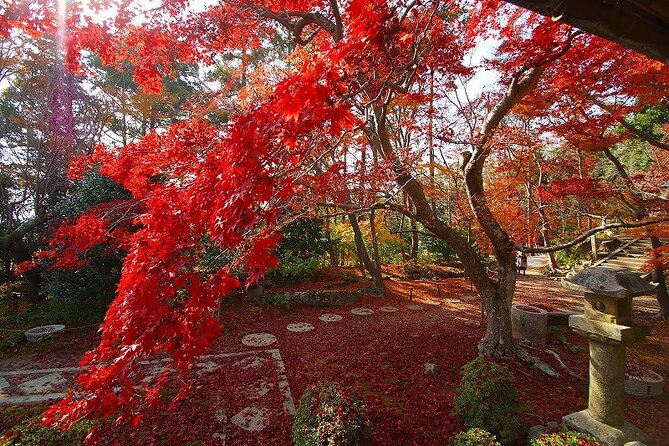 Private Tour in Hidden Christian Village and Japan Countryside - Key Takeaways