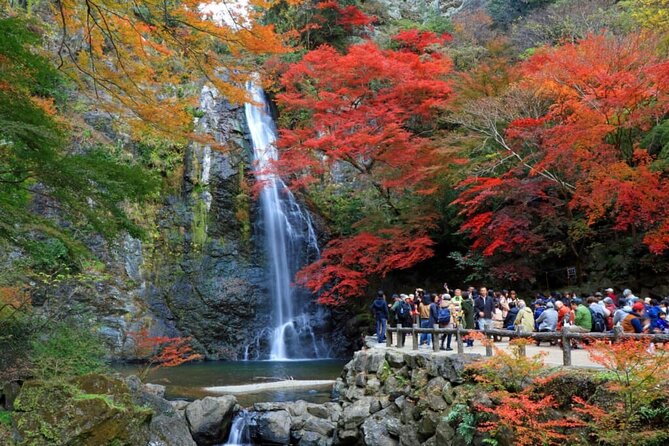 Osaka Nature Walking Tour - Minoh Hidden Beauty - Local Wildlife Encounters