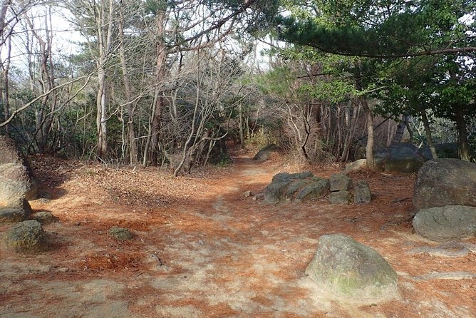 Exercise at Seto Inland Sea National Park, 1 Day Hiking on Mt. Rokko - Meeting and Pickup Information