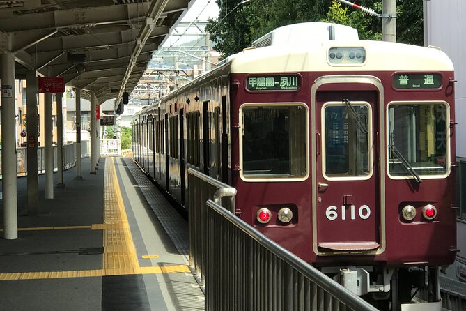 Real-Life Anime Location Visiting in Osaka Private Guided Tour - Meeting Point Information