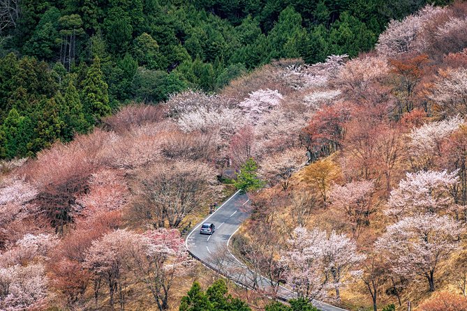 Historic and Natural Guided Hike in Yoshino - Key Takeaways