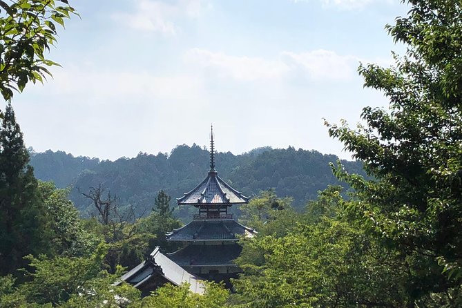 Historic and Natural Guided Hike in Yoshino - Price and Cancellation Policy