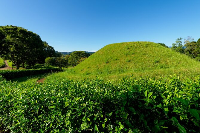 Ancient Nara Walking and Cycling Tour in Asuka - Restrictions and Recommendations