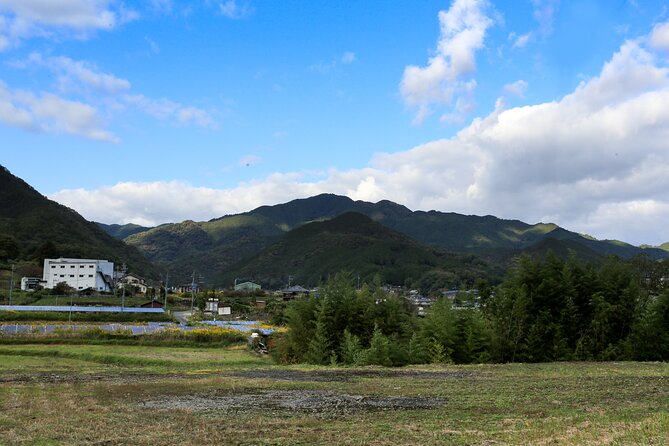 Explore Nature in Yoshino With E-Bike Tour - Additional Tour Information