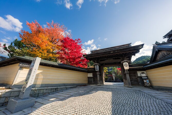 7 Hours Tour Enjoyment Light Plan in Koyasan - Itinerary Overview