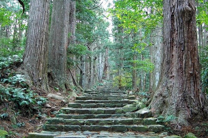 Kumano Kodo Half Day Daimonzaka and Nachi Taisha Tour - Key Takeaways