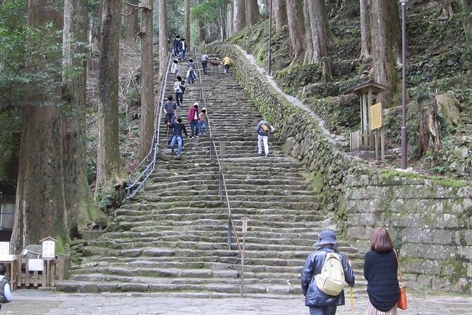 Kumano Kodo Half Day Daimonzaka and Nachi Taisha Tour - Review and Feedback