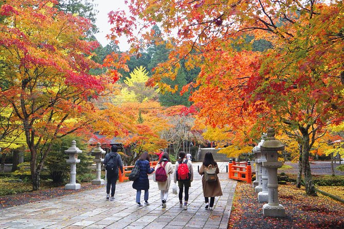 Koyasan Full-Day Private Tour - Customer Reviews