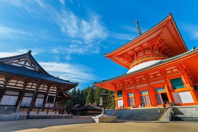 Mt. Koya Sacred Half-Day Private Tour With Government Licensed Guide - Health and Safety Guidelines