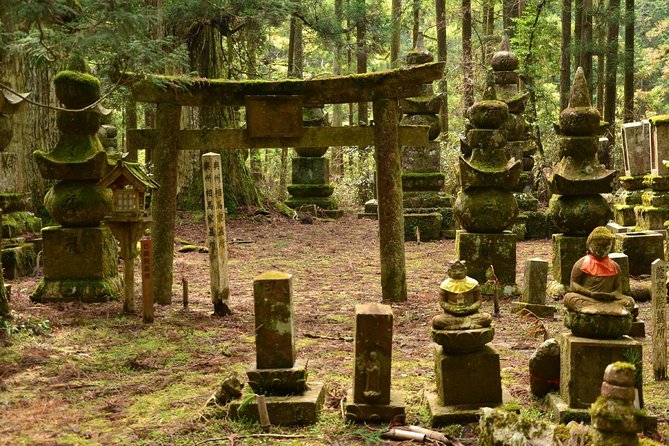 Mt. Koya Sacred Half-Day Private Tour With Government Licensed Guide - Booking Confirmation