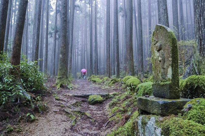 Kumano Kodo Pilgrimage Tour With Licensed Guide & Vehicle - Price and Payment Information