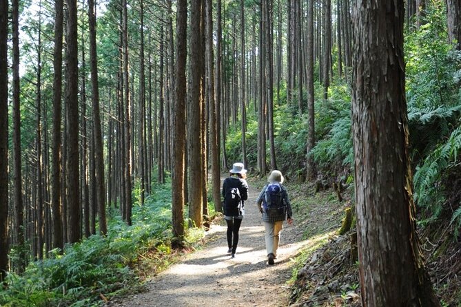 Kumano Kodo Pilgrimage Tour With Licensed Guide & Vehicle - Cancellation Policy