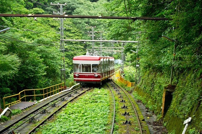 Mt. Koya Sacred 6hr Private Tour With Government Licensed Guide - Cancellation Policy