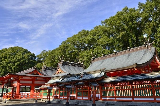 Kumano Kodo Pilgrimage Full-Day Private Trip With Government Licensed Guide - Guide Expertise