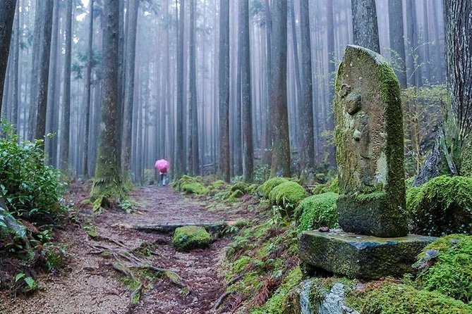 Kumano Kodo Pilgrimage Full-Day Private Trip With Government Licensed Guide - Pricing and Booking Details