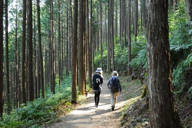 Kumano Kodo Pilgrimage Full-Day Private Trip With Government Licensed Guide - Inclusions and Exclusions