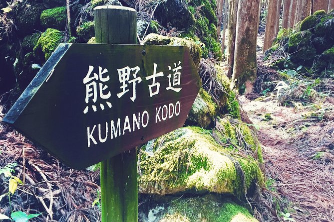 Kumano Kodo Pilgrimage Full-Day Private Trip With Government Licensed Guide - Meeting Points and Logistics