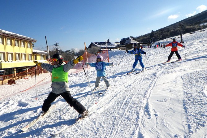 Private Ski Lesson for Family or Group(Transport Included ) - Conclusion