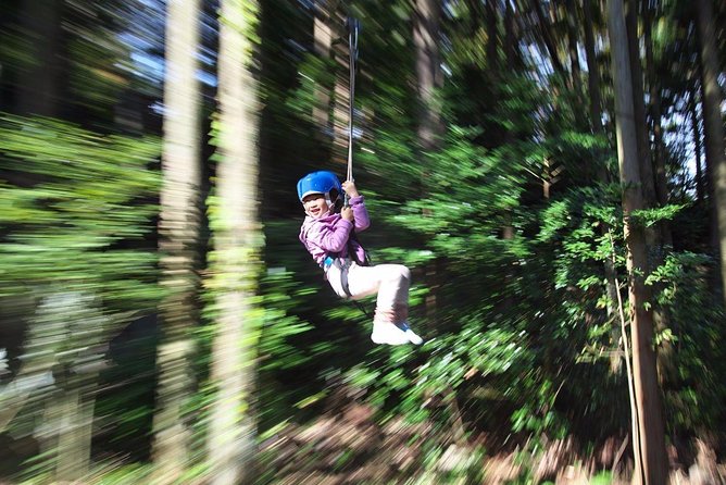 Aerial Athletics (Zipline Adventure) - Activity Details