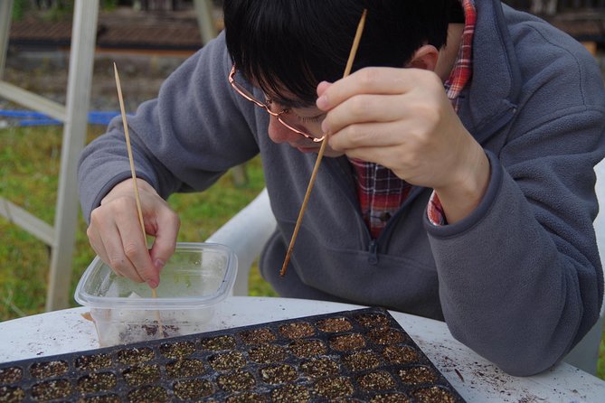 Cultivate Organic WASABI - Key Takeaways