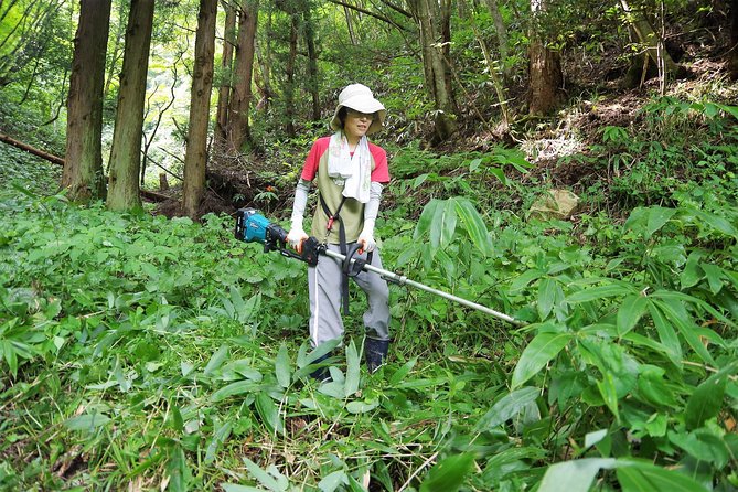 Cultivate Organic WASABI - Exploring Keiryū Style Cultivation