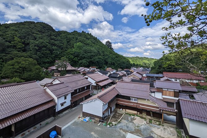 Iwami Must-see Tour - Key Takeaways