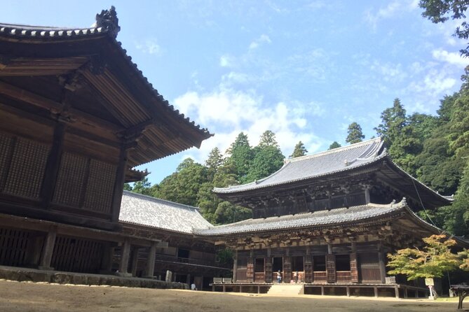 Full-Day Private Guided Tour to Himeji Castle - What To Expect