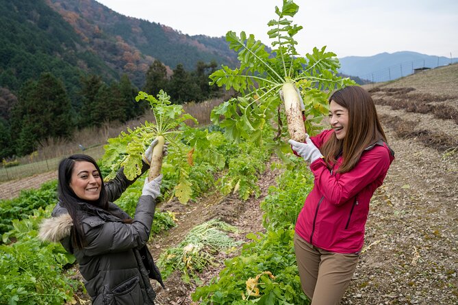 Lodging Plans With Gibier Cuisine / Tokushima, Shikoku - Price and Booking