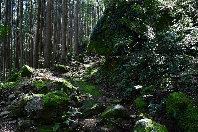 Private Spiritual Hike in Hidakamura With Mountain Monk - Meeting and Pickup