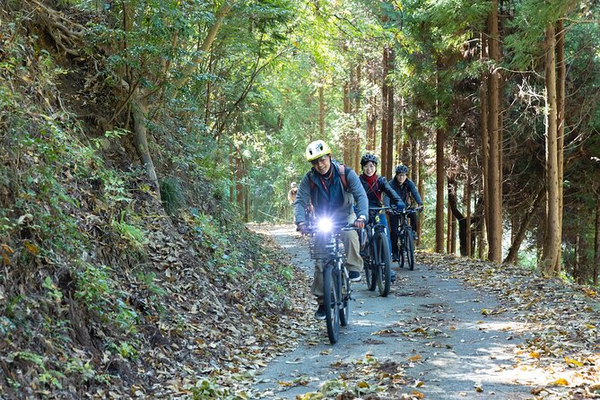 Ukihas Private Forest Ride - What To Expect