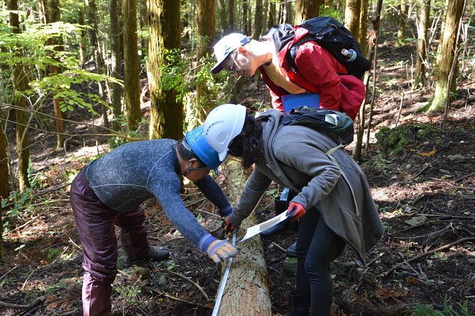 Rural Forestry Tour in Aso Minamioguni - Key Takeaways