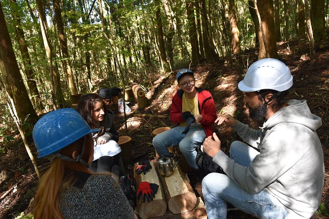 Rural Forestry Tour in Aso Minamioguni - Experience Overview