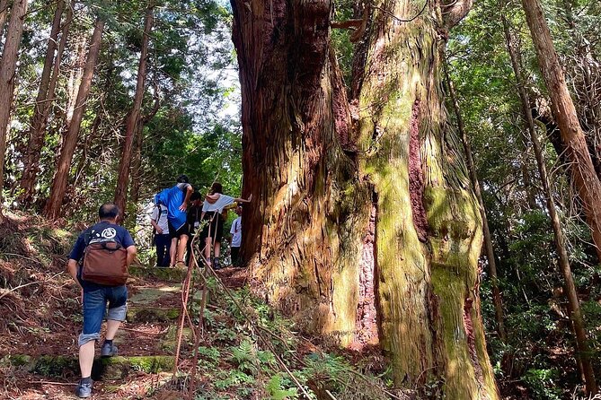 Private Guided Rural E Bike Mini Tour in Aso Minamioguni - Frequently Asked Questions